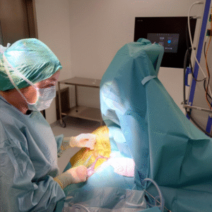 Eierinformasjon før bløtvevskirurgi