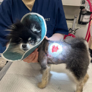 Klassifisering og behandling av sår